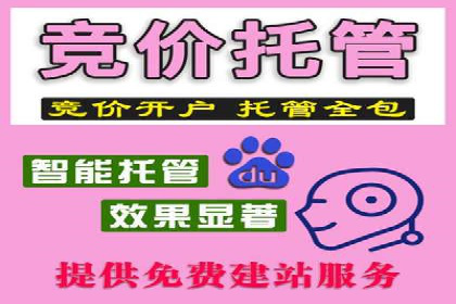 竞价广告案例分析：行业竞争激烈下的突围之路